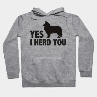 Yes I herd you funny dog Hoodie